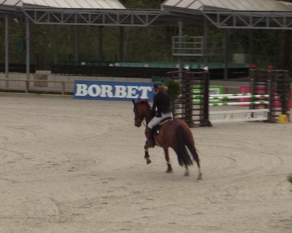 Reitturnier Balve-Wocklum 2024
