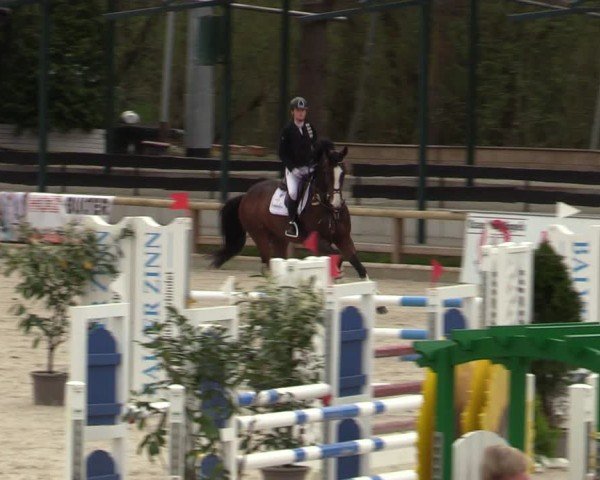 Reitturnier Balve-Wocklum 2024