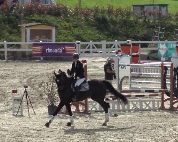 Reitturnier St. Margarethen 2024