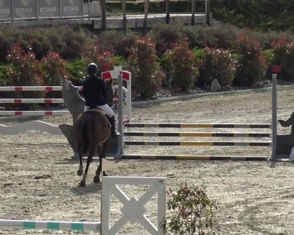 Reitturnier St. Margarethen 2024