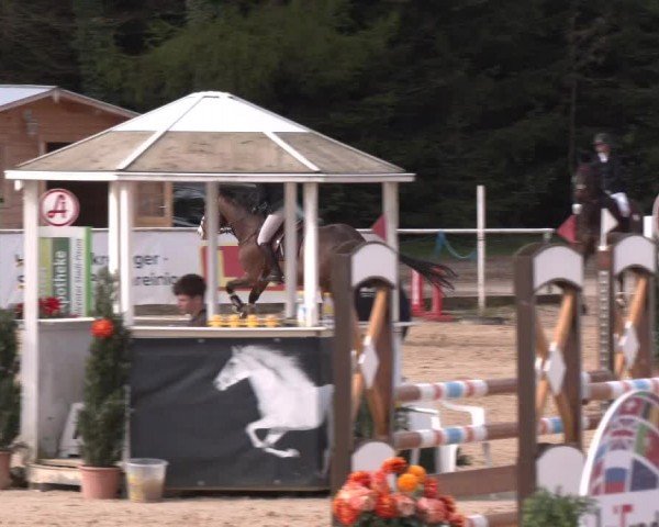 Reitturnier Ranshofen - Braunau am Inn 2024