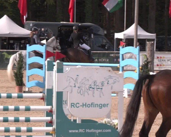Reitturnier Ranshofen - Braunau am Inn 2024