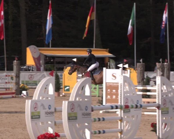 Reitturnier Ranshofen - Braunau am Inn 2024