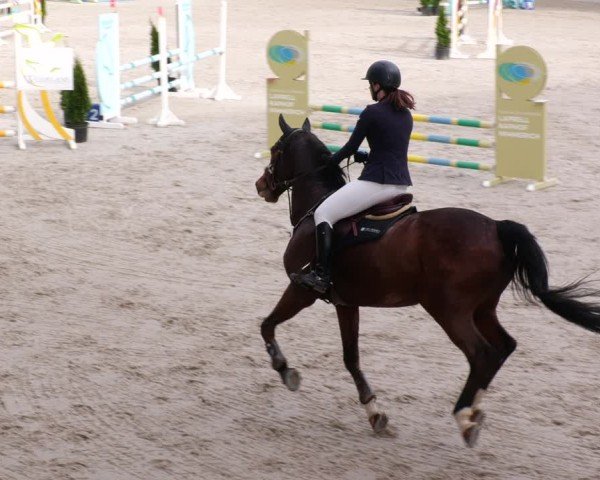 Reitturnier Aachen 2024