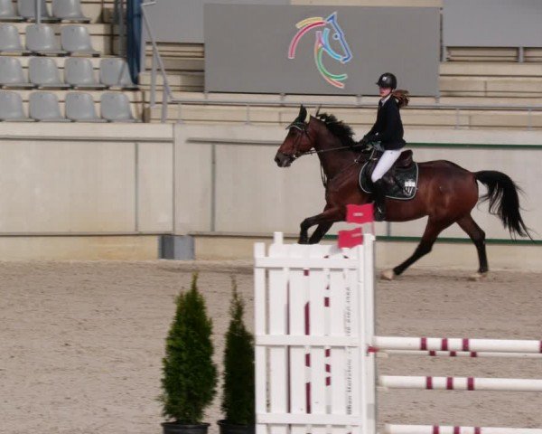Reitturnier Aachen 2024