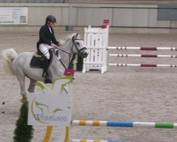 Reitturnier Aachen 2024