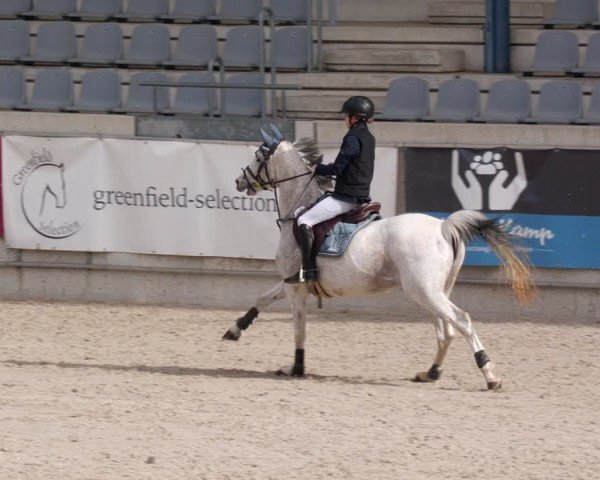 Reitturnier Aachen 2024
