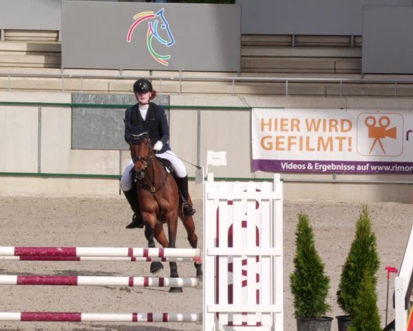 Reitturnier Aachen 2024