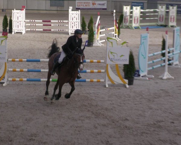 Reitturnier Aachen 2024