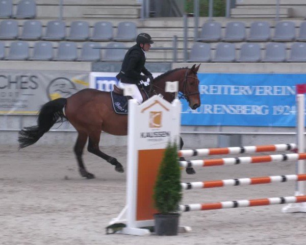 Reitturnier Aachen 2024