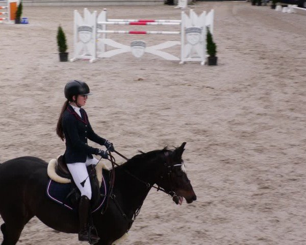 Reitturnier Aachen 2024