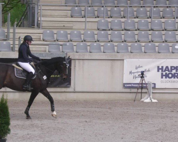 Reitturnier Aachen 2024