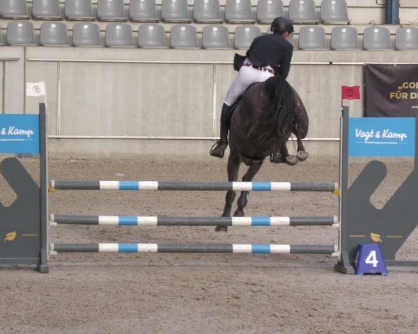 Reitturnier Aachen 2024