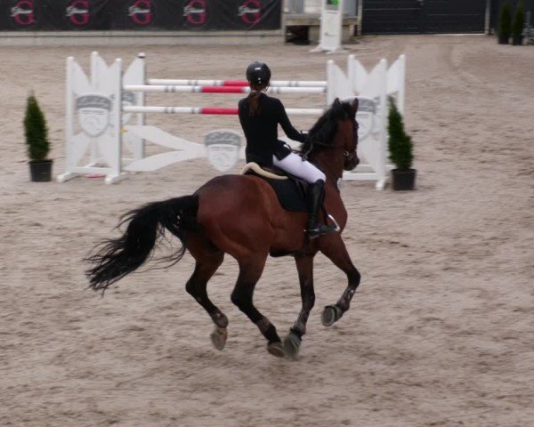 Reitturnier Aachen 2024