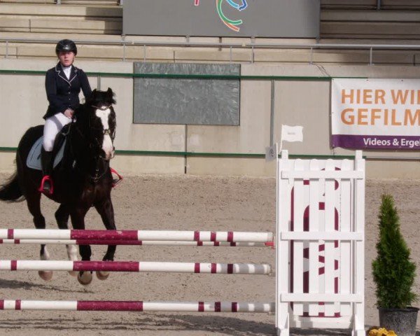 Reitturnier Aachen 2024