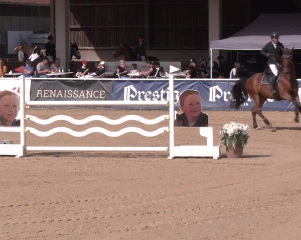 Reitturnier Ranshofen - Braunau am Inn 2024