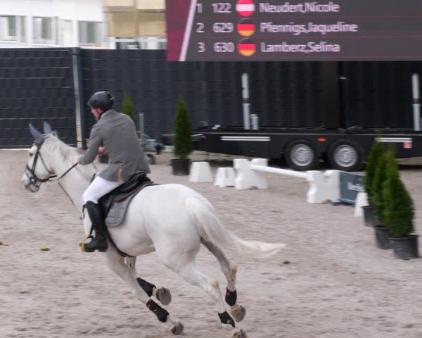 Reitturnier Aachen 2024