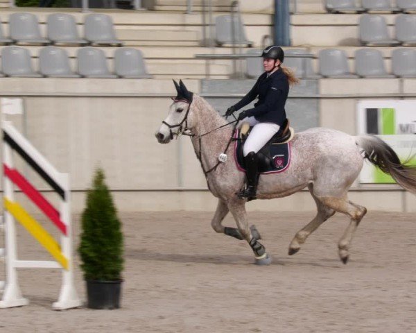 Reitturnier Aachen 2024