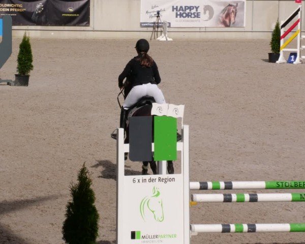 Reitturnier Aachen 2024