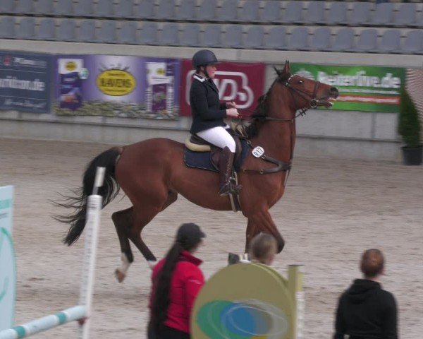 Reitturnier Aachen 2024