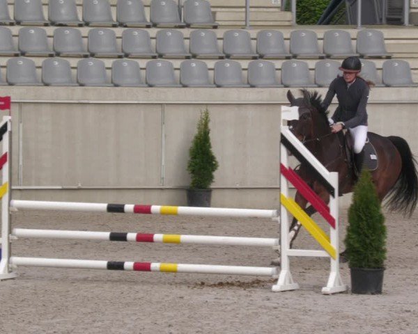 Reitturnier Aachen 2024