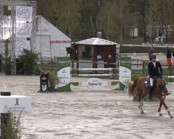 Reitturnier Westergellersen 2024