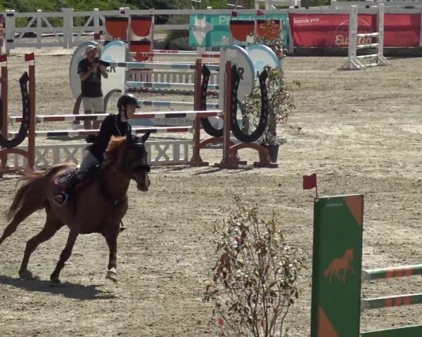 Reitturnier St. Margarethen 2024