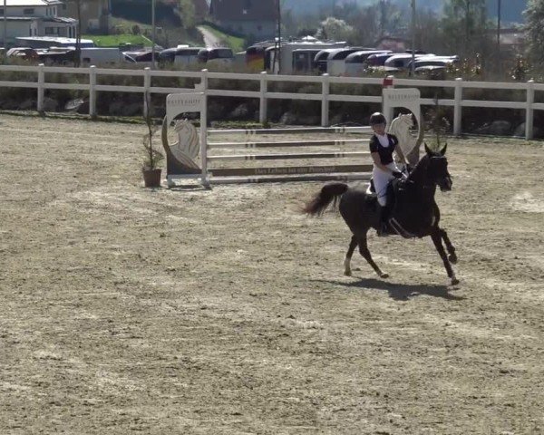 Reitturnier St. Margarethen 2024