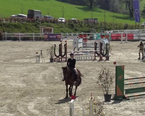 Reitturnier St. Margarethen 2024