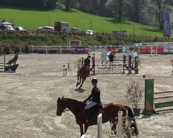 Reitturnier St. Margarethen 2024