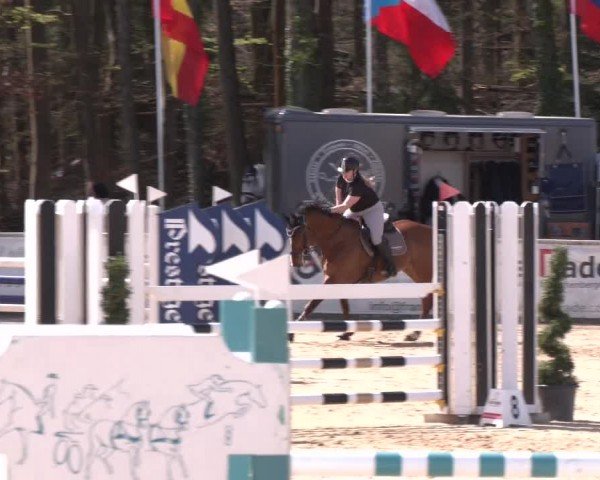 Reitturnier Ranshofen - Braunau am Inn 2024