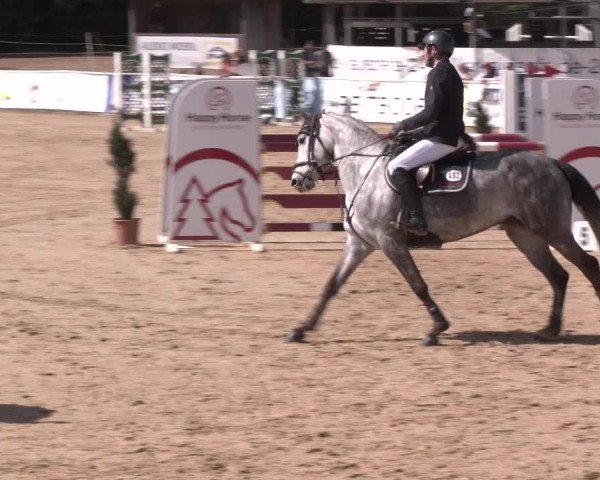 Reitturnier Ranshofen - Braunau am Inn 2024