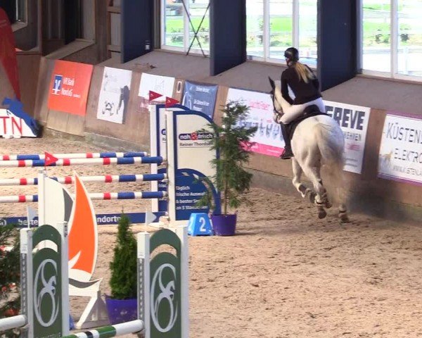 Reitturnier Niebüll - Jumping Team Nord 2024