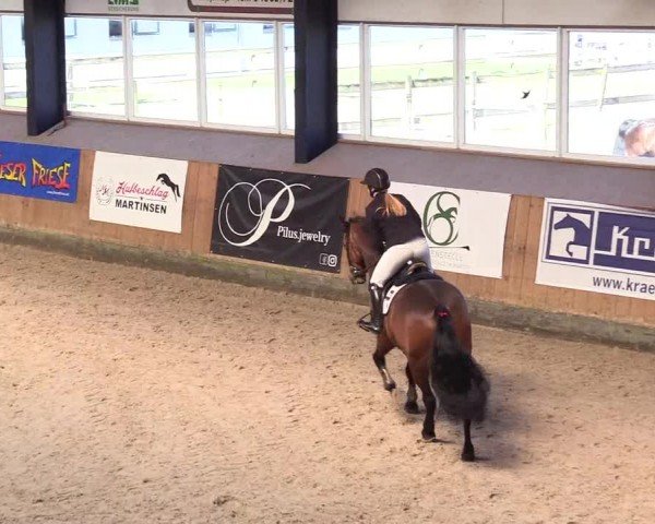Reitturnier Niebüll - Jumping Team Nord 2024