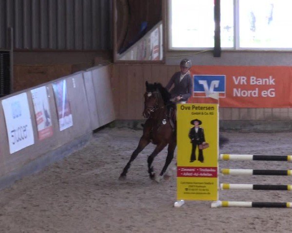Reitturnier Niebüll - Jumping Team Nord 2024