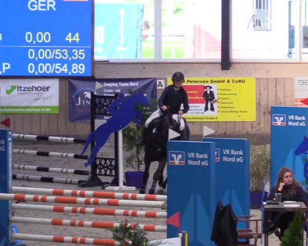 Reitturnier Niebüll - Jumping Team Nord 2024