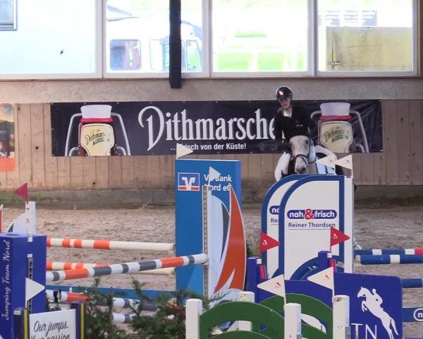 Reitturnier Niebüll - Jumping Team Nord 2024