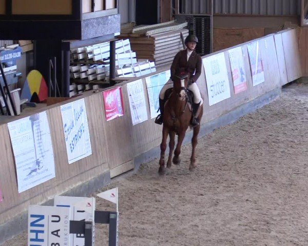 Reitturnier Niebüll - Jumping Team Nord 2024