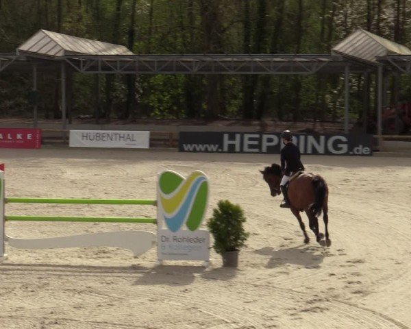 Reitturnier Balve-Wocklum 2024