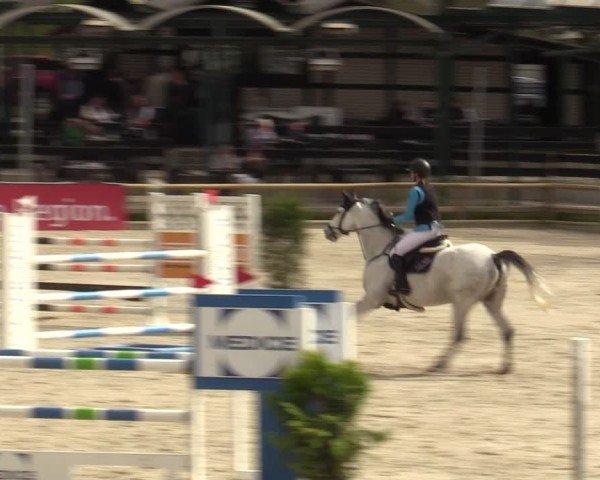 Reitturnier Balve-Wocklum 2024