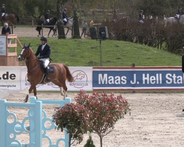 Reitturnier Westergellersen 2024