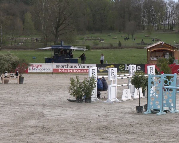 Reitturnier Westergellersen 2024