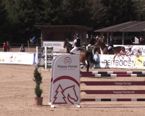 Reitturnier Ranshofen - Braunau am Inn 2024