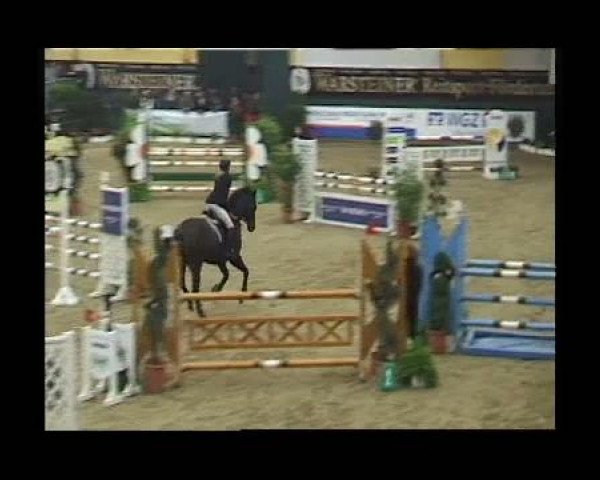 Warsteiner Champions Trophy 2011