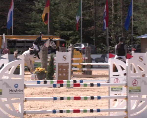 Reitturnier Ranshofen - Braunau am Inn 2024