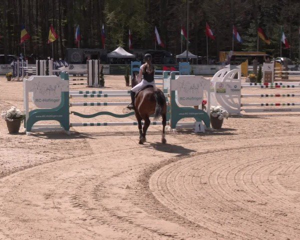 Reitturnier Ranshofen - Braunau am Inn 2024