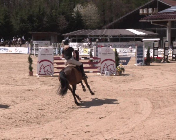 Reitturnier Ranshofen - Braunau am Inn 2024