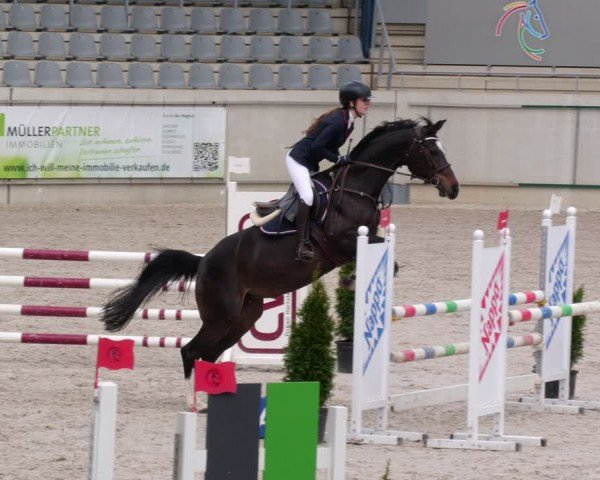 Reitturnier Aachen 2024