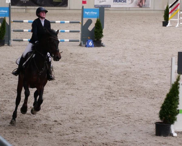 Reitturnier Aachen 2024