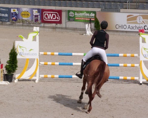 Reitturnier Aachen 2024
